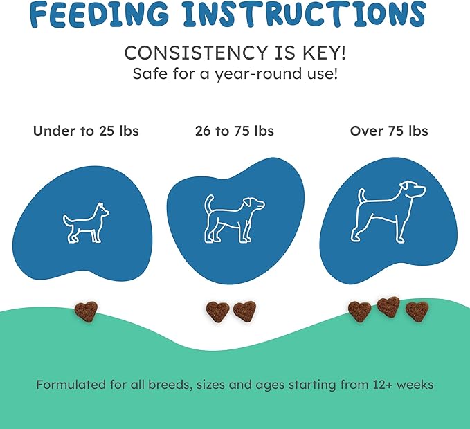 Dog Multivitamin Chews – 25-in-1 Daily Complete Nutrition Soft Chews with Vitamins, Minerals, Probiotics, Salmon Oil & Digestive Enzymes for Overall Wellness