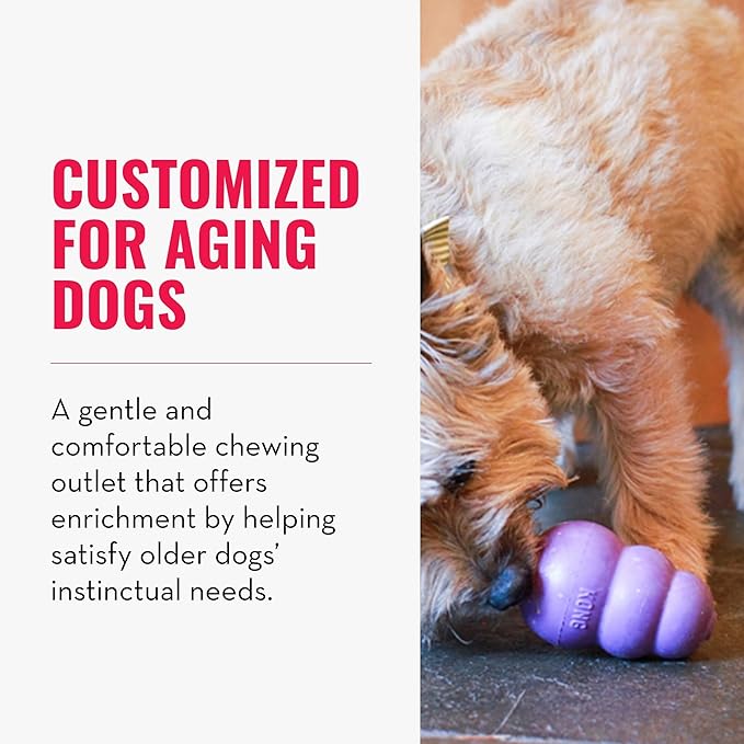 KONG Senior - Dog Toy with Gentle, Natural Rubber - Durable Dog Toy for Older Dogs - Use Treats with Stuffable Chew Toy - Treat Toy for Chewing & Fetching - for Small Dogs (Pack of 2)