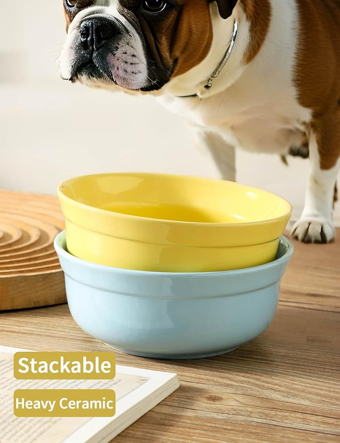 5.3 Inch Blue and Yellow Ceramic Small Dog Bowl Sets - Porcelain Wide Mouth Cat Food or Water Bowls, Cute Feeding Bowls for Indoor Small Size Dog, for Wet or Dry Food