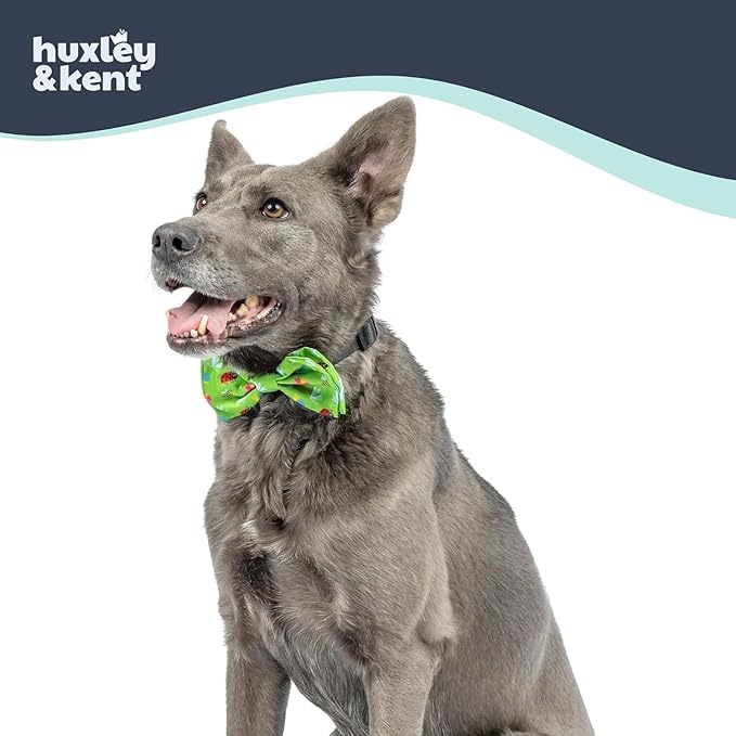 Huxley & Kent Pet Bow Tie for Dogs & Cats - Spring Theme Adjustable Hook & Loop Collar Accessory - Cute & Comfortable for Holidays & Celebrations - Garden Party, Extra-Large