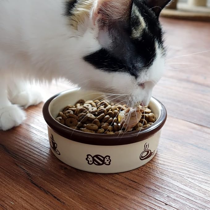 TTCAT Ceramic Cat Food Bowl,Cute Cartoon Pattern,Basic Bowl, Small Pet Feeding Dishes for Cat, Kitten, Small Dog, Dishwasher Safe…