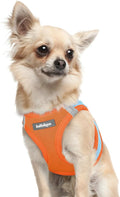 rabbitgoo Small Dog Harness, Step-in Soft Mesh Puppy Vest with Safety Buckle, Breathable Reflective Pet Harness for Extra Small Dogs, Blue & Orange XXXS