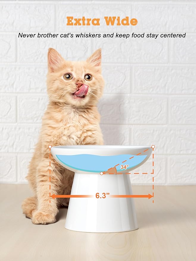 LoeJan Elevated Food and Water Bowls Set, Extra Wide and Raised Ceramic Feeder, Anti-Vomit Whisker-Free Pressure Cat Feeding Bowl for Kittens Adult Cats Small Dogs (White, Food Bowl)