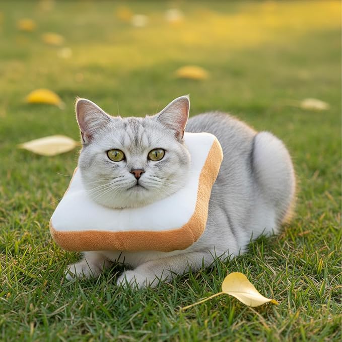 Adjustable Cat Cone Soft Cat Recovery Collar Kitten Cones After Surgery Neutering Toast Pet Neck Strap to Stop Licking Lightweight Comfortable Elizabethan Collar for Puppies Kitten Adult Cats