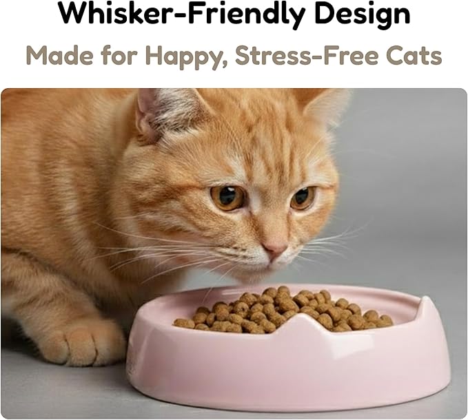 2 Pcs Whisker-Friendly Cat Food Bowl, Melamine Shallow & Wide Cat Bowl for Indoor Cats,Relieves Whisker Fatigue,Non-Slip Cat Dish for Wet and Dry Food (White*2, 6.3")