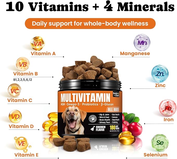 Dog Daily Nutrition & Digestive Support Bundle – Multivitamin Soft Chews with Probiotic Powder for Gut Health & Wellness