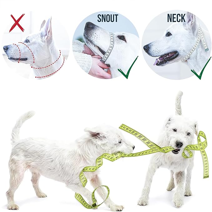 GoodBoy Dog Head Halter with Safety Strap - Stops Heavy Pulling On The Leash - Padded Headcollar for Small Medium and Large Dog Sizes - Head Collar Training Guide Included (Size 1, Blue Nylon)