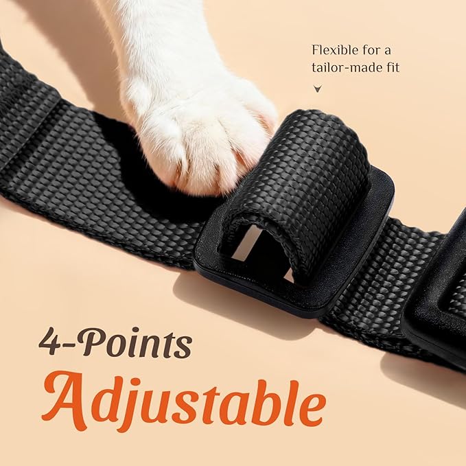 Dooradar Cat Harness and Leash Set, Escape Proof Safe Adjustable Kitten Vest Harnesses for Walking, Easy Control Soft Breathable Mesh Jacket with Reflective Strips for Cats, Black, M