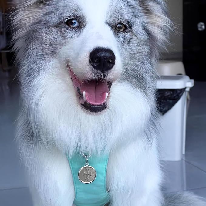 Dogs ID Tags Personalized Double Sided Deep Engraved Cat & Dog Collar Charm Round Shape Frosting Process Silver/Gold Plated (Bone-Cross Gold)