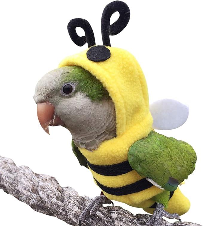 Bird Costume Diaper Flight Suit Bee Shape Hoodie Clothes Cosplay Photo Prop for Parrots Parakeet Cockatiel Sun Conure, Small Animals Apparel (Bee with Diaper, X-Large), Green (BPF1)