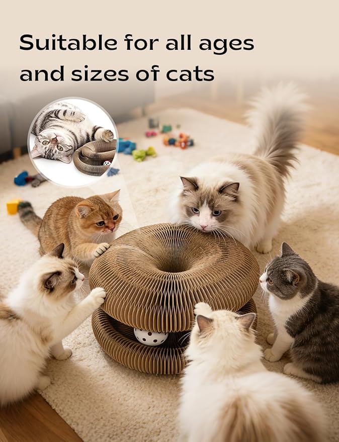 2 Pack Kitty Kurlzs Cat Scratcher Toy, Magnet Kitty-Curls Twisty Paws Cat Toy, 2026 Upgrade KittyKurls Cat Scratcher with Play Balls, Twisty Paws Cat Toy for Indoor Cats