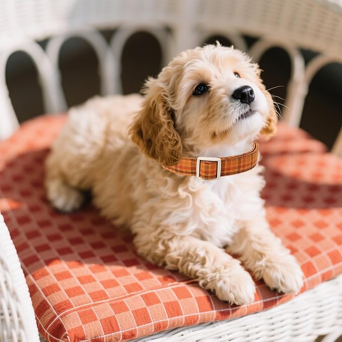 Maca Bates Fall Plaid Basic Dog Collar,Pumpkin Charm,Extra Large Girl,Boy,Autumn Brown Gingham Puppy Collars Halloween Checkered Print,Adjustable Durable Soft for Male Female Dogs with Safety Buckle