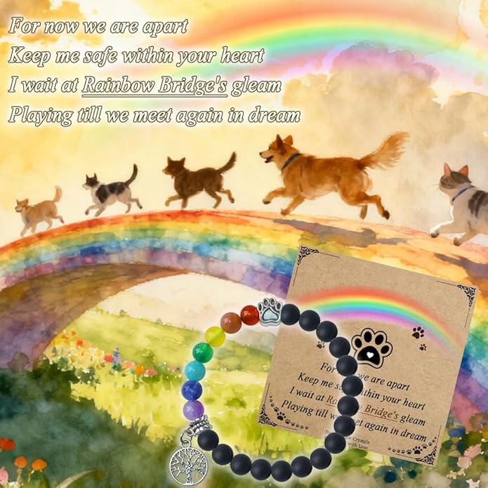Pet Memorial Gifts, Sympathy Gift for Loss of Dogs and Cats, Chakra Rainbow Bridge Bracelet for Women Men Who Lost Pets