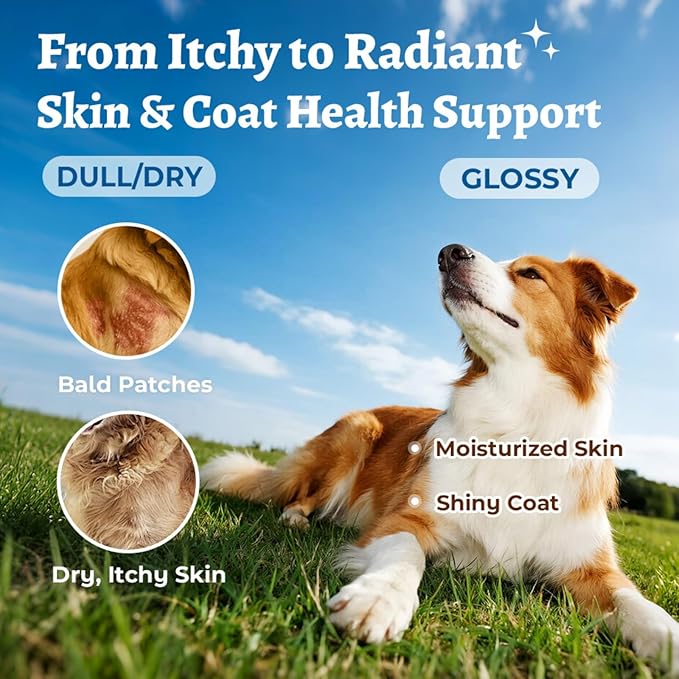 Salmon Oil Skin & Coat Supplement for Dogs-Omega 3 Fish Oil for Dog Healthy Skin & Glossy Coat with EPA & DHA Fatty Acids Heart Hip Joint Health,Skin Allergy,Hot Spots,Dry Skin,Itch Relief,Shedding