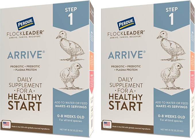 FlockLeader Arrive, Daily Probiotic & Prebiotic Water Supplement for Young Chickens 0-8 Weeks Old, 8 oz (Pack of 2)