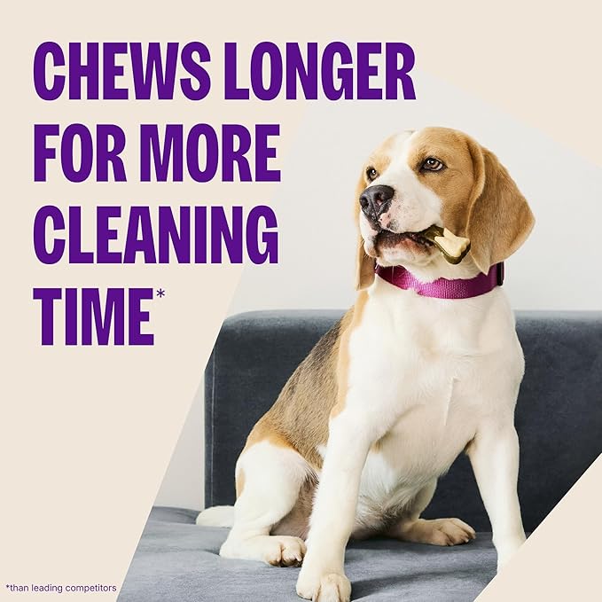 Whimzees Wellness Brushzees Dog Dental Treat, VOHC Accepted Chews, Freshens Breath, Large Size, 4.2 oz Bag, 2 Count