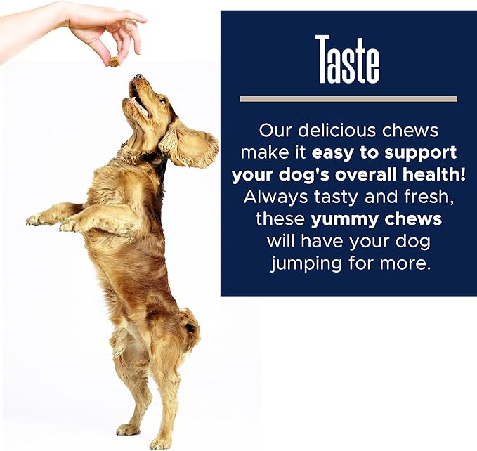 Dog Multivitamin Supplement - 120 Soft Chew Dog Vitamins and Supplements with Omega, Probiotics, Glucosamine, and More - for Small, Large, and Senior Dogs