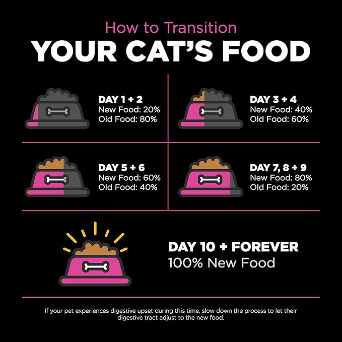 Go! Solutions Skin + Coat Care Chicken Dry Cat Food with Grains, Healthy Kibble with Omega-3s & 6s for Soft, Shiny Fur, for Kittens, Adults, & Seniors, 8 lb Bag