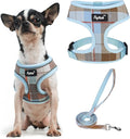 PUPTECK Soft Mesh Dog Harness and Leash Set Pet Puppy Cat Comfort Padded Vest No Pull Harnesses, Blue&Brown, XS