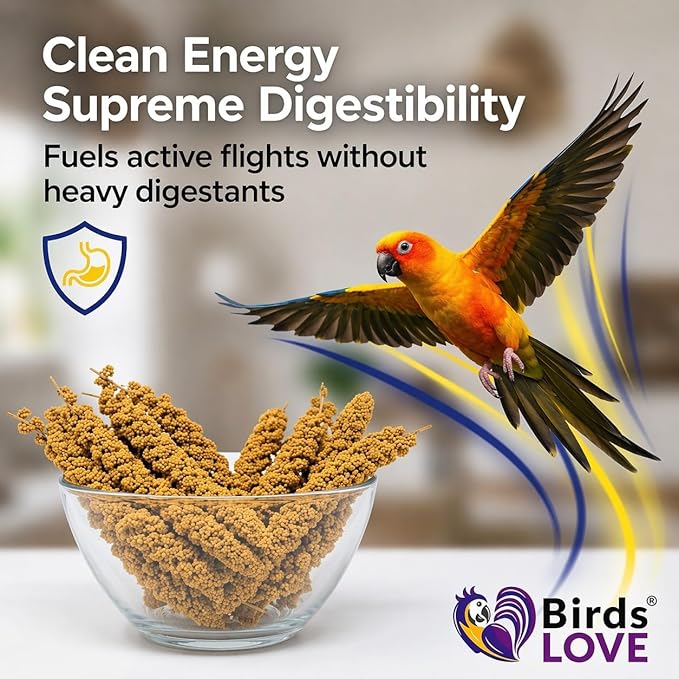 1lb Millet Tips & Tails for Birds - Parakeets, Cockatiels, Lovebirds, Finches, Budgies, Canaries, Cockatoos - Natural & Healthy Millet for Birds - Parakeet Food & Treats for All Parrots (2 Pack)