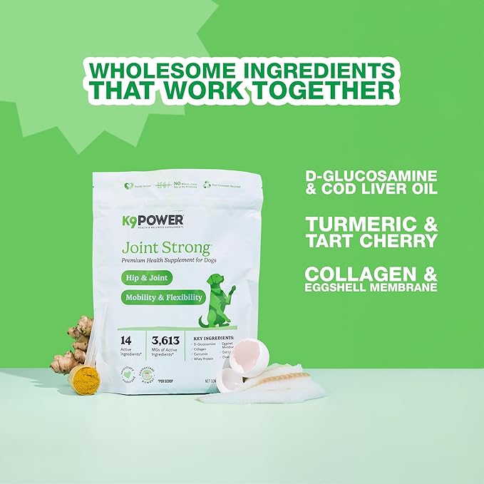K9Power Joint Strong – Dog Joint Supplement for Mobility, Pain & Inflammation Relief – Glucosamine, Chondroitin, Collagen, Curcumin, Omega 3s, CMO, Green Tea – Ideal for Arthritis & Joint Protection