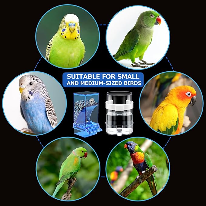 Yaomiao 8 Pcs No Mess Small Bird Feeders Automatic Parakeet Water Dispenser with 4 Pcs Cage Perch Clear Quail Feeder and Watered Cage Accessories for Small and Medium Parakeet Cockatiel Canary(Blue)