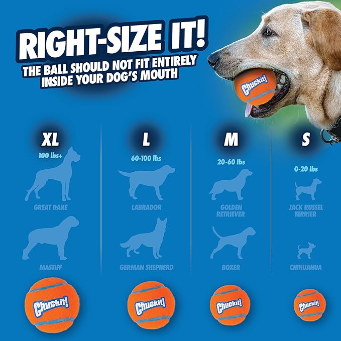 Chuckit! Dog Tennis Ball Dog Toy, Large (3 Inch Diameter) for dogs 60-100lbs, Pack of 1