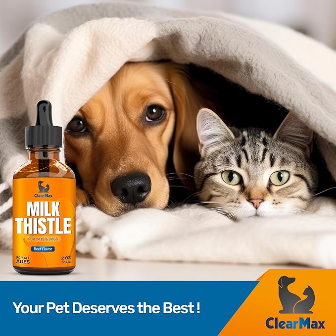Milk Thistle for Dogs & Puppies – Liquid Supplement for Liver & Kidney Support – Milk Thistle for Cats & Kittens – Effective Digestion Care with Natural Beef Flavor & No Additives – 2 Oz Bottle