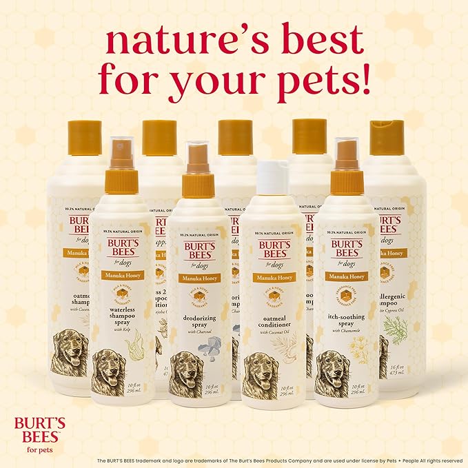 Burt’s Bees for Pets Manuka Honey Waterless Shampoo Spray for Dogs with Kelp, 10 Fl Oz