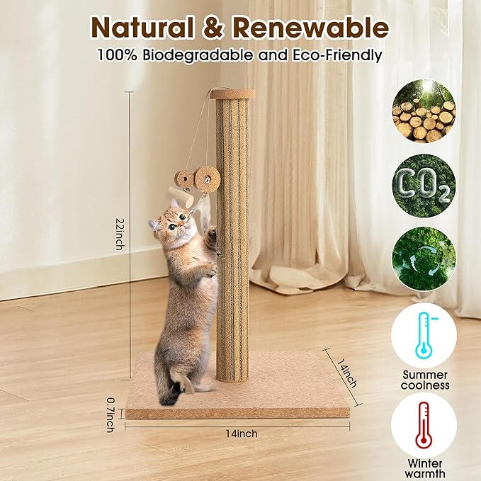 Natural Cork Vertical Cat Scratching Post-Cork-cat Scratcher with Feather Toy-cat Tree-cat scratchers for Indoor Cats Toys Stable Base-Eco-Friendly-Safe-Noise-Reducing for Claw Health-Home Decorate