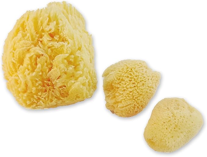 Sea Sponges for Dogs - Luxury Canine Bath Care, for Pet Grooming, Soft & Gentle Pampering