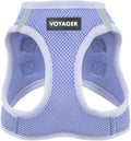 Best Pet Supplies Voyager Step-in Air Harness - All Weather Mesh, Reflective, No Pull Harness for Dogs, Cats - Secure with Hook & Loop Fastener, Buckle, Double D-Rings - Lavender, XS
