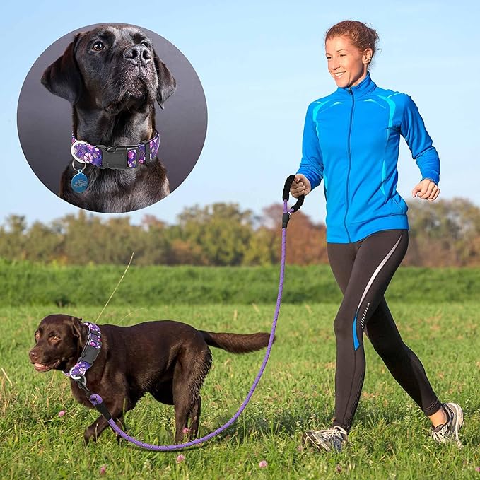Reflective Dog Collar Padded with Soft Neoprene Breathable Adjustable Nylon Dog Collars for Small Medium Large Dogs (X-Small (Pack of 1), Purple/Pink Floral Collar+Leash)