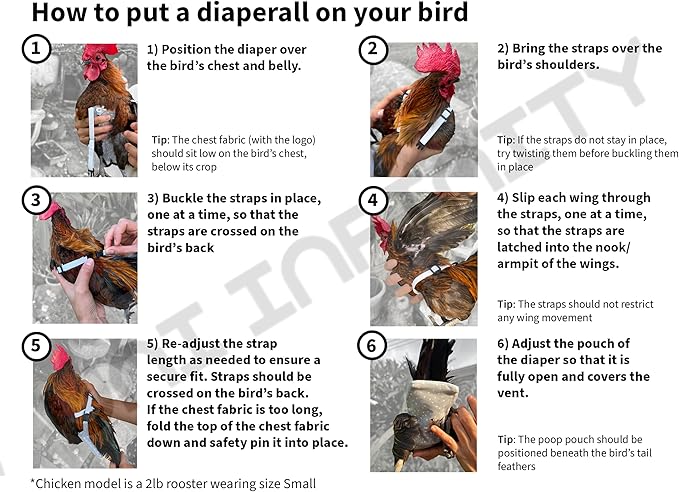 Chicken Diapers Duck Diaper Diaperalls for Hens, Roosters, Ducks, Ducklings - Reusable, Adjustable by Uni Infinity (British Plaid, Chicken Small, 1, Count)