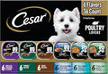 Cesar Classic Loaf in Sauce Adult Wet Dog Food Poultry Lovers Variety Pack with Real Chicken, Turkey or Duck, 3.5 oz Easy Peel Trays, 36 Count