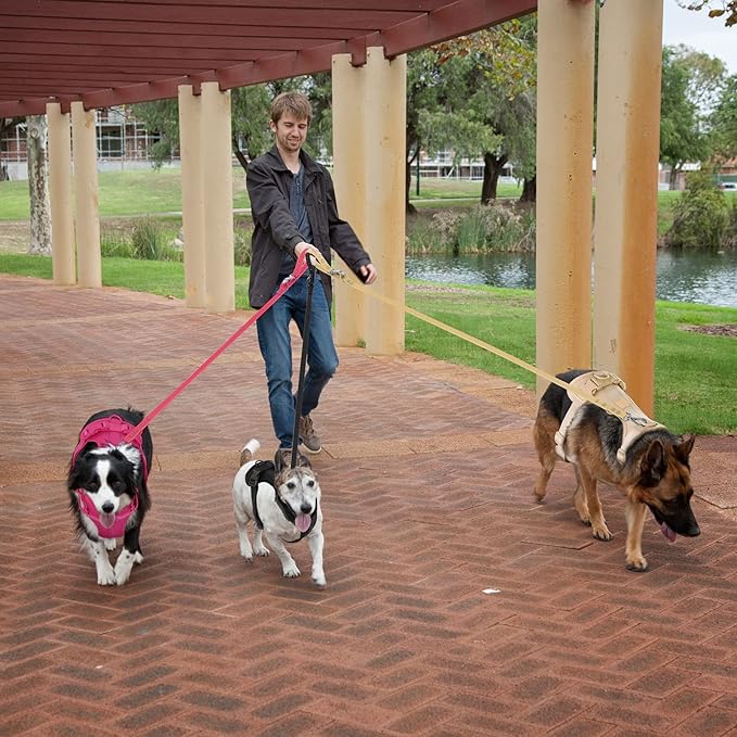 Wisedog No Pull Lightweight Dog Vest Harness with Soft and Comfortable Cushion, Breathable Mesh, for Small Medium Large Dogs Walking (M(Neck: 11.81"-18.11";Chest: 18.11"-27.95"), Peacock Pink)
