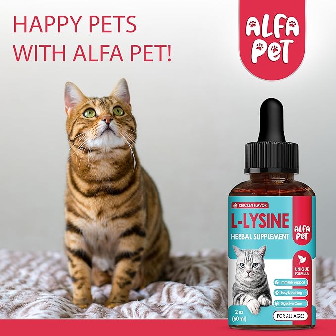 L Lysine for Cats Helps with Watery Eyes, Sneezing, Cough, Allergy – Works as Natural Antibiotic for Cats – Feline Upper Respiratory Supplement with Vitamins, Probiotic and Chicken Flavor – 2 Oz