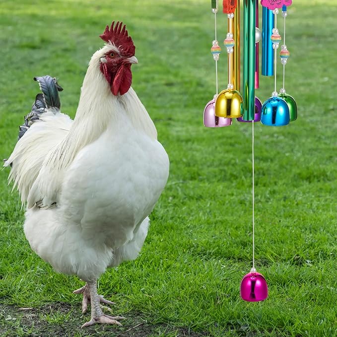 WinnerWhy Chicken Chew Toys for Coop Multicolor Chicken Wind Chime Enrichment Toys Art Hanging Decoration for Bird Parrot Parakeet Budgerigar Lovebird