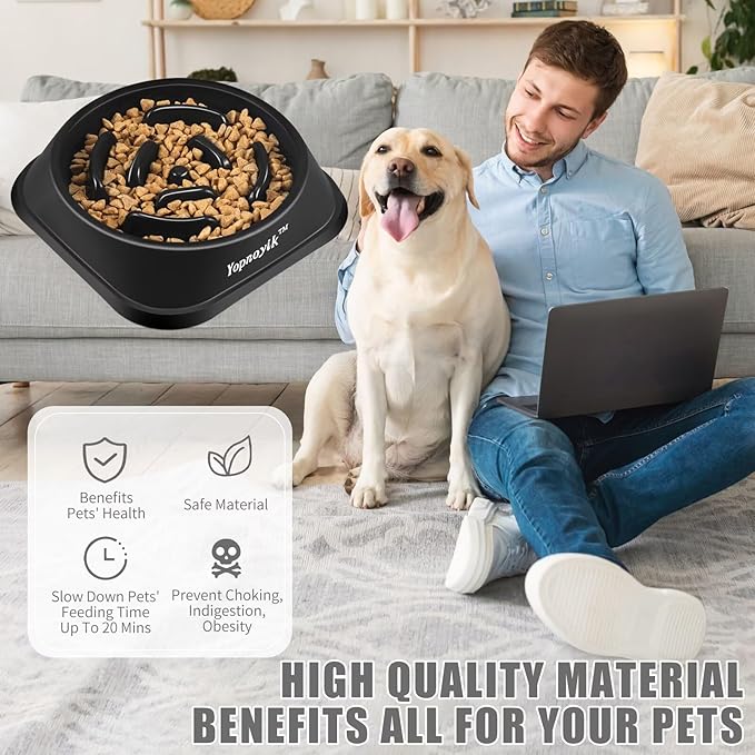 Slow Feeder Dog Bowls for Healthy Eating, Non-Slip and Anti-Choking Design, Reduces Bloating & Overeating for Medium Dogs and Cats, Easy to Clean