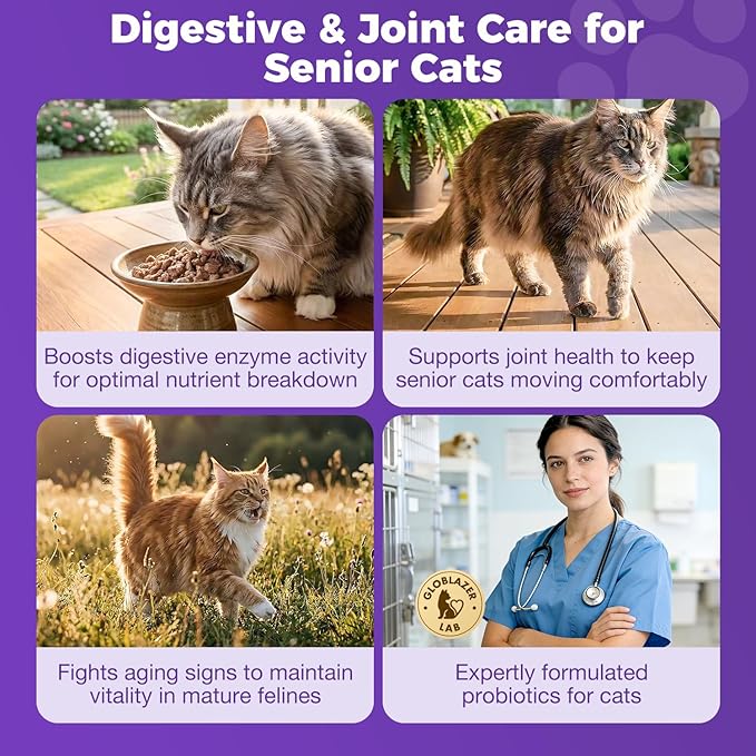 Cat Probiotics Gut – Constipation Relief – Supports Immunity, Regularity, & Healthy Digestion, 30-Day Supply (Senior Formula)