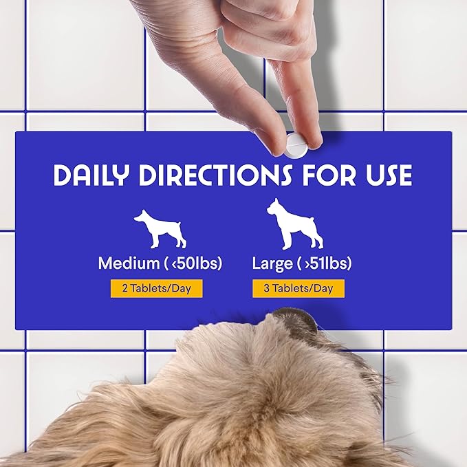 Wonder Paws B12 Supplement for Dogs – Vitamin B-12 for All Ages, Sizes & Breeds – Vitamin B12 for Dogs as Superior Methylcobalamin, Cobalamin & Folate (5-MTHF) – 90 Beef Flavored Chewables