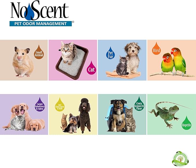 No Scent Crate Kennel & Floor Cleaner for Dog Run, Cat Carrier, Hard Surface Pet Odor & Stain Management (32 Fl Oz / 946 mL)