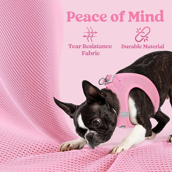 rabbitgoo Small Dog Harness, Step-in Soft Mesh Puppy Vest with Safety Buckle, Breathable Reflective Pet Harness for Small Sized Dogs, Light Pink S