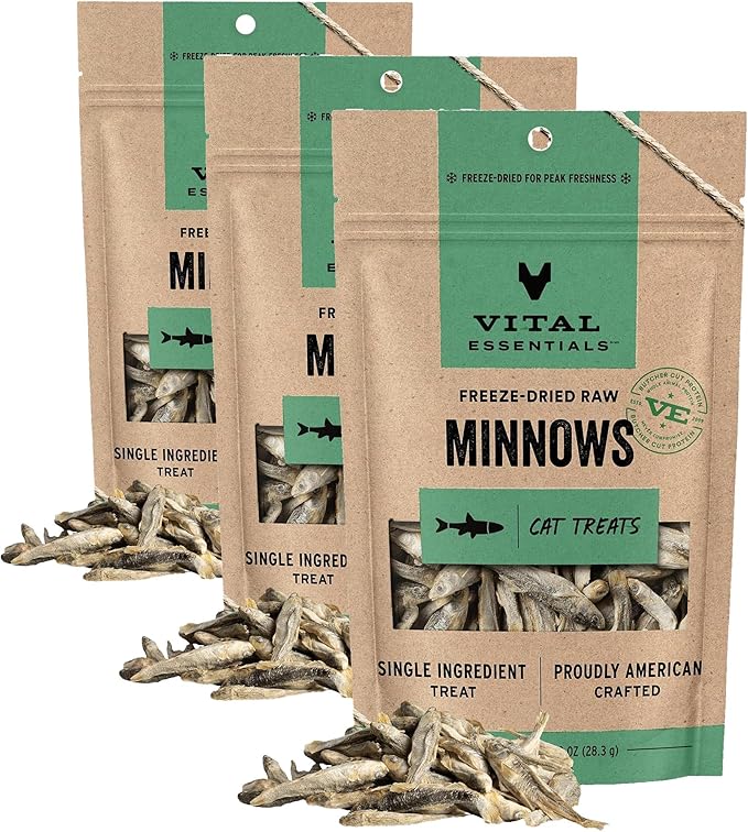 Vital Essentials Freeze Dried Raw Single Ingredient Cat Treats, Minnows, 1 oz (Pack of 3)
