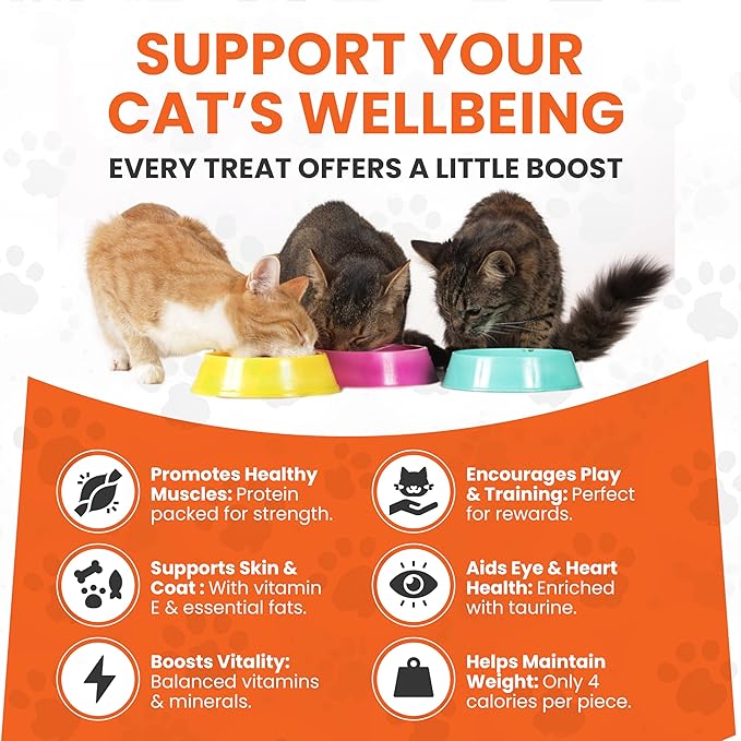 Scoochie Pet Cat by Scoochie – Assortment Flavored Cat Treats, Crunchy Outside & Creamy Inside, 3 | 8.8 oz Tubs (Tuna, Chicken & Catnip)