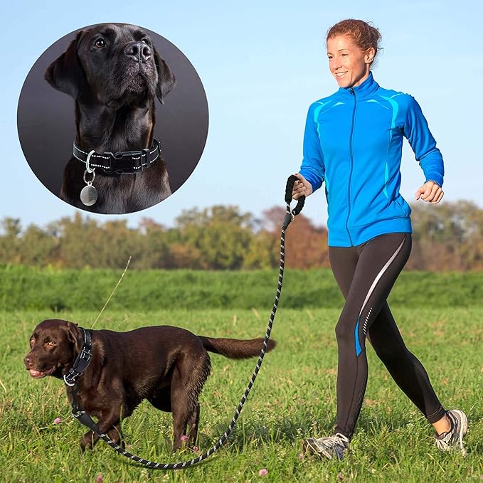 Reflective Dog Collar Padded with Soft Neoprene Breathable Adjustable Nylon Dog Collars for Small Medium Large Dogs (Small (Pack of 1), Black Collar+Leash)