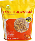 5.5LB Dried Black Soldier Fly Larvae, 85X More Calcium Chicken Feed Than Mealworms, 100% Natural Non-GMO BSF, Treat for Chickens, Ducks, Laying Hens, Birds
