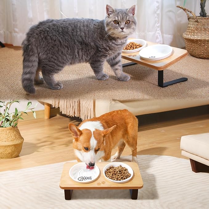 COMESOON 5" Ceramic Cat Bowl with Fish Bone Pattern, Cat Food Bowl for Food and Water, Healthy Cat Dishes for Indoor Cats and Small Dog, Dishwasher Safe & Microwaveable - White