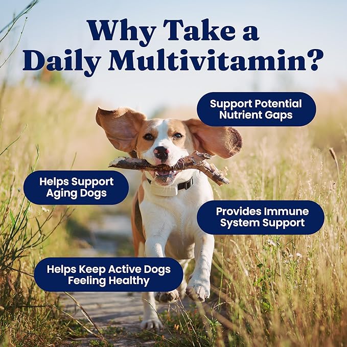 Solid Gold Dog Multivitamin - Soft Dog Vitamins & Supplements Chews - All-in-One Heart, Immune, Brain, Skin, Coat & Gut Health Support w/Vitamin C, B12, Probiotics & Antioxidants - Bacon Flavor 120ct