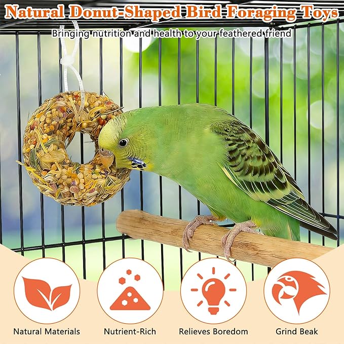Fhiny 8 PCS Parakeet Treats, Donut Shaped Natural Grain Cockatiel Food with Fruits Vegetables Flowers and Herbs Bird Chew Toys for Parrot Conure Lovebird Training Rewards and Beak Grinding